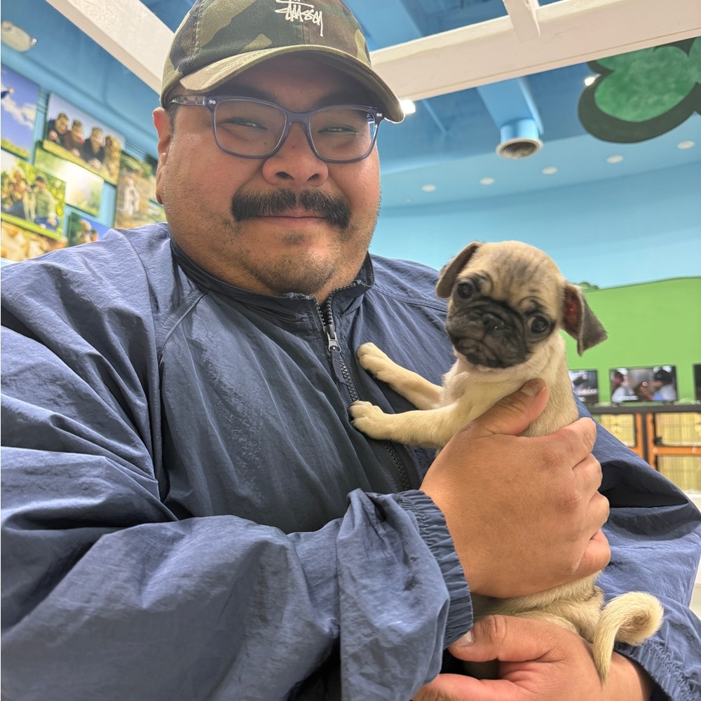 Meet your Posher, Carlos